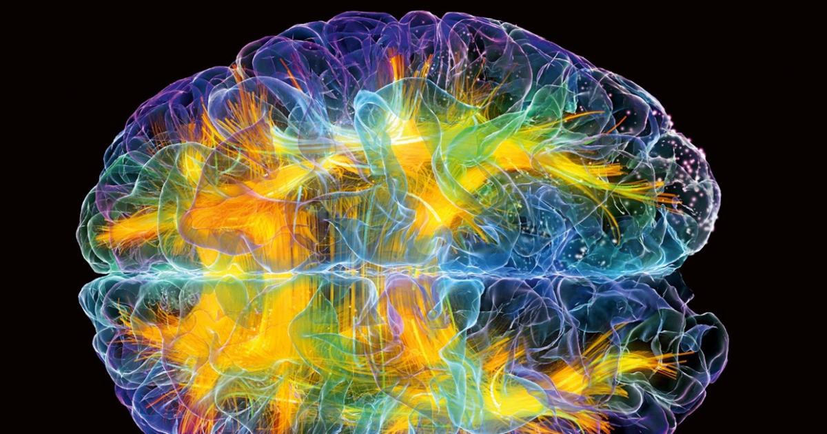 20 curiosidades sobre el cerebro humano que te sorprenderán