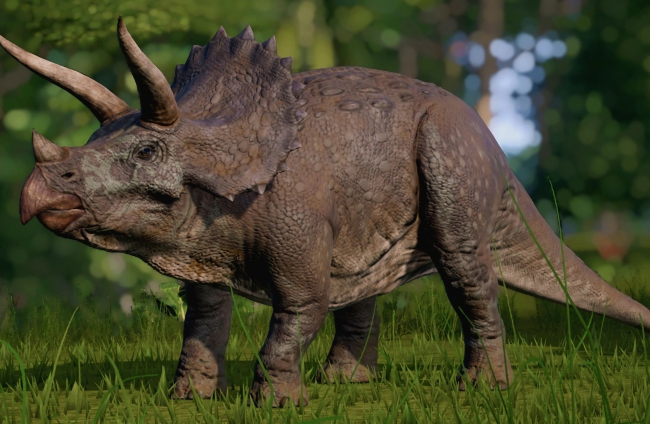 Este rasgo de Triceratops siempre se representa de forma errónea