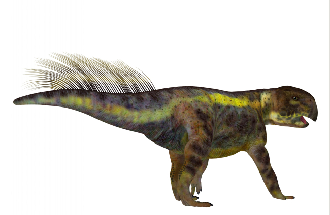 Reconstrucción de ‘Psittacosaurus’ con el penacho de picnofibras sobre la cadera y la base de la cola.