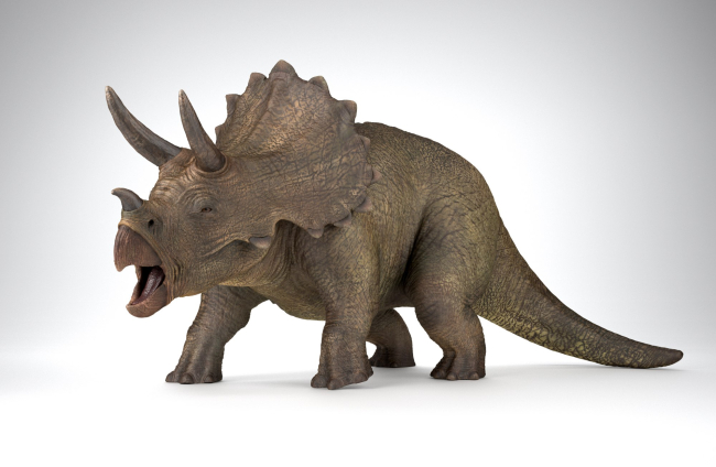 Reconstrucción de triceratops
