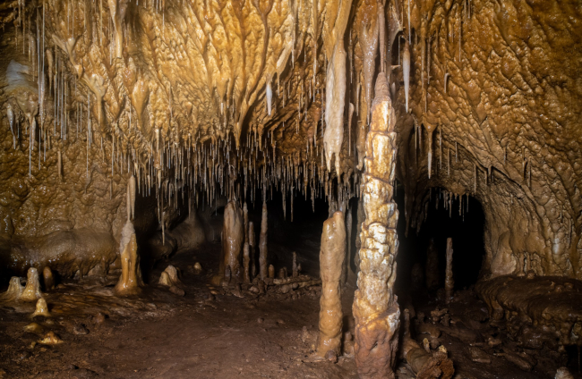 Cueva murciana en la que se han encontrado zarpazos de oso cavernario