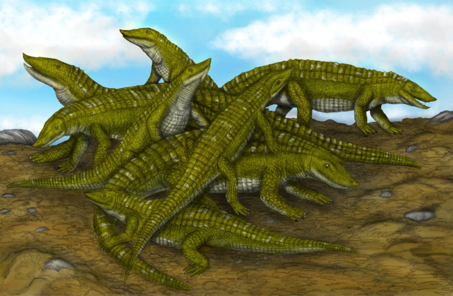 Manadas de etosaurios