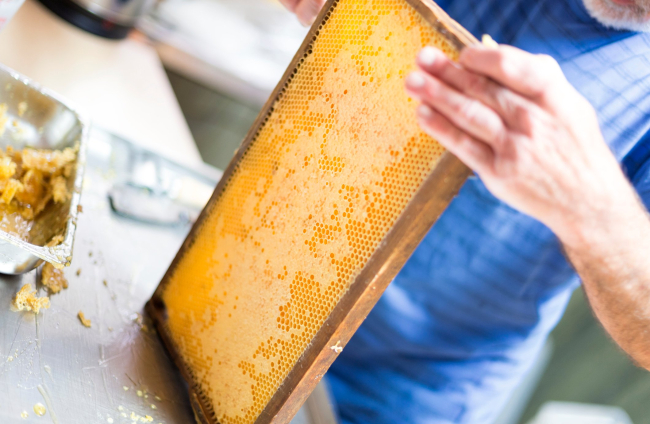 Fabricando miel