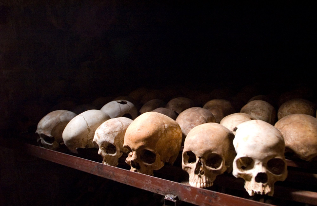 Cráneos de varias víctimas del genocidio