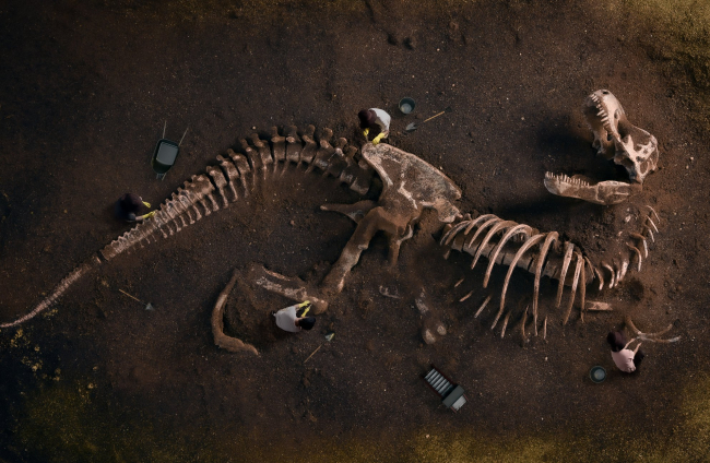 Fósil de T. rex
