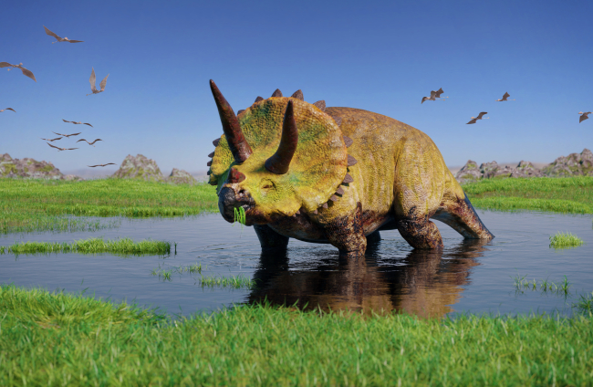 Recreación de un Triceratops