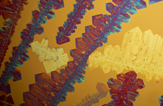 Cristales de clorato de potasio hecha por un microscopio en luz polarizada. Créditos: Jelte Prins