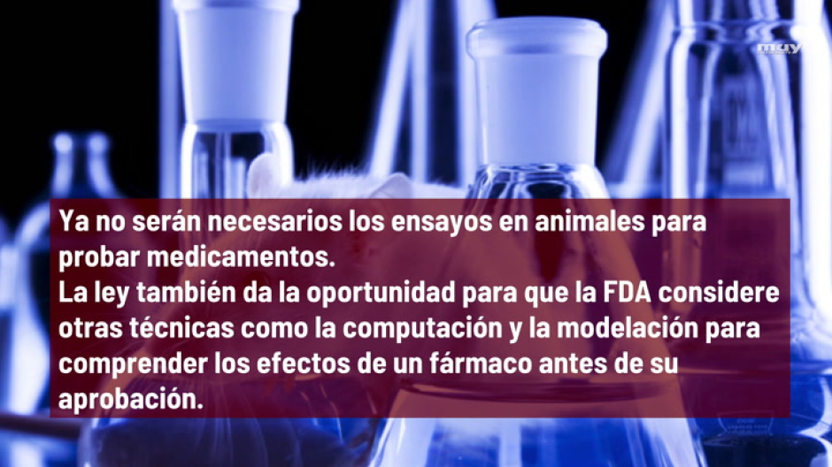 Ya no serán necesarios los ensayos en animales para probar medicamentos