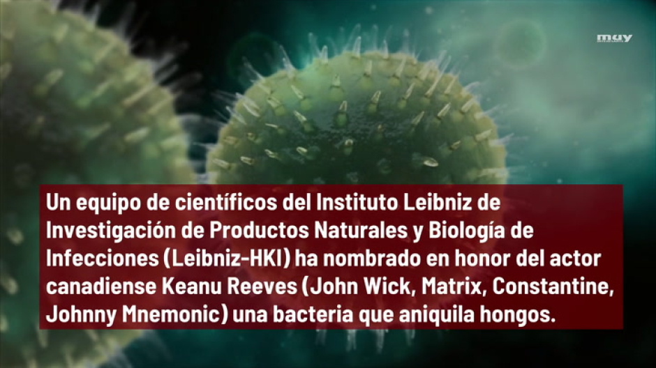 Bautizan una bacteria en honor a Keanu Reeves (por su efectiva forma de matar en la ficción)