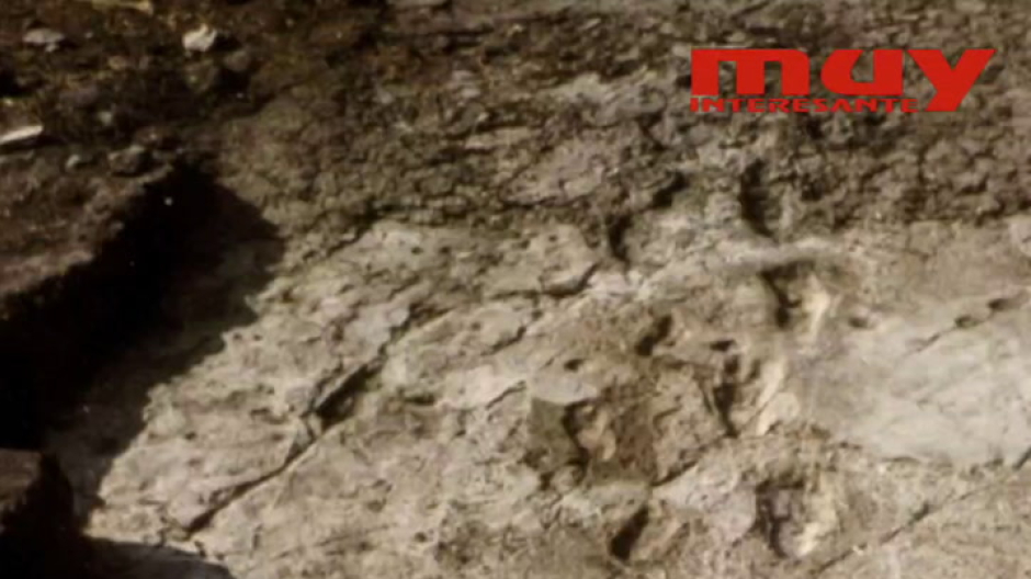 Huellas de Laetoli: así eran los homínidos que caminaron por Tanzania hace 3,7 millones de años (Fran Navarro)