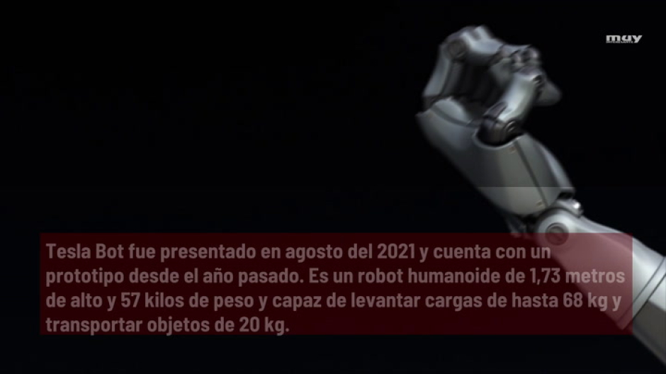 Tesla Bot  El Robot De Elon Musk Está  Aprendiendo Más Rápido Que Los Humanos