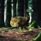 El dodo es una de las especies extintas más famosas