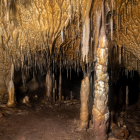 Cueva murciana en la que se han encontrado zarpazos de oso cavernario