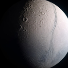 They discovered an element essential for life in the oceans of Enceladus