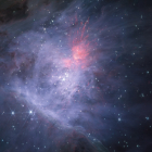 James Webb discovers strange objects near the Orion Nebula