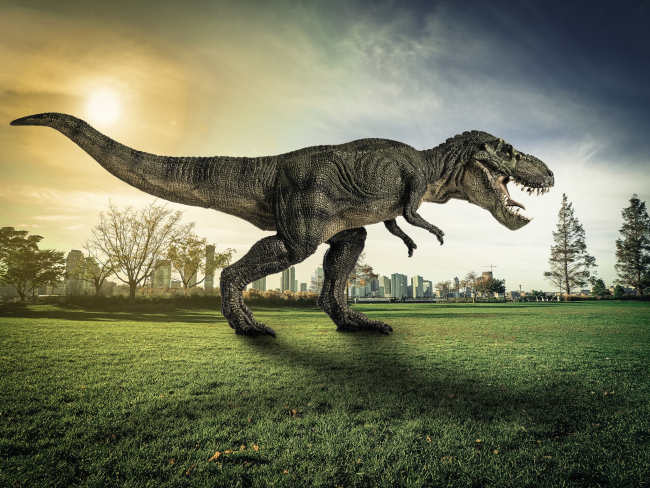 Curiosidades sobre el 'Tyrannosaurus rex'