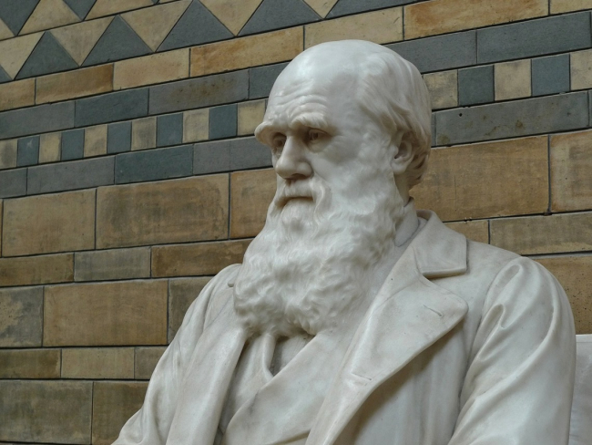 Busto de Charles Darwin en el Museo de Historia Natural de Berlín