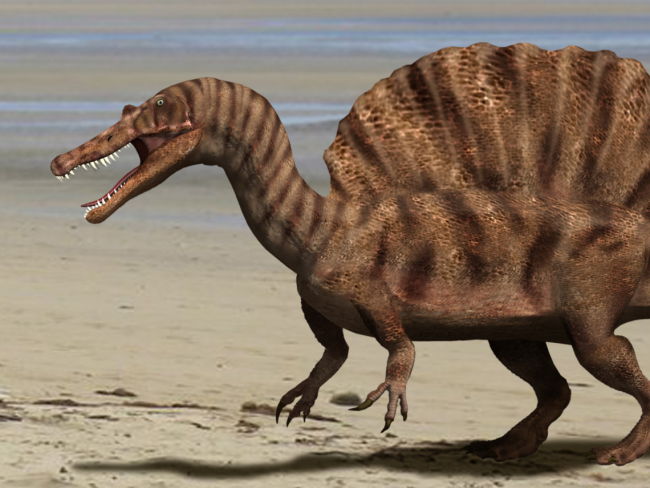 Reconstrucción de Spinosaurus. FGL.
