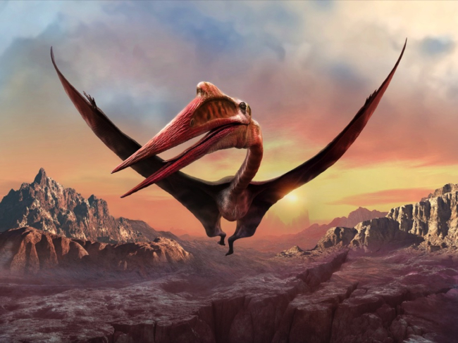 Recreación de ‘Quetzalcoatlus’, el pterosaurio más grande conocido.