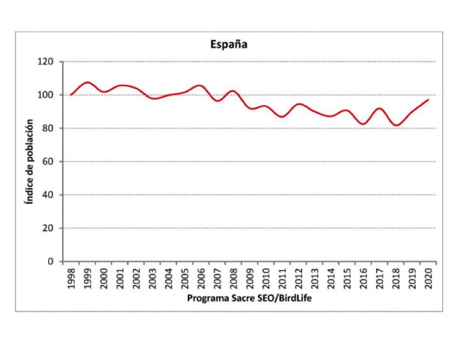 Censo de poblaciones de gorriones desde 1998 hasta 2020 (SEO/Birdlife)