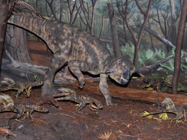 Reconstrucción de ‘Psittacosaurus mongoliensis’
