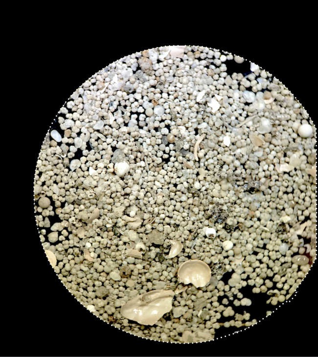Evidencia de una era de hielo en el Océano Índico El Niño en la química de estas conchas de 21 000 años de antigüedad / Kaustubh Thirumalai