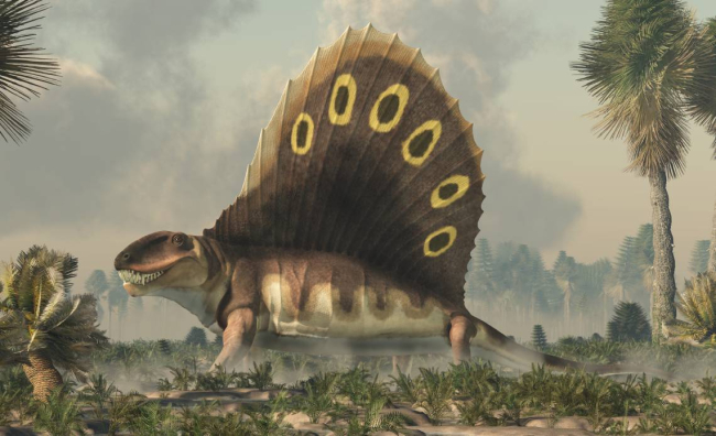 Dimetrodon y su famosa “vela” dorsal. Fuente: iStock