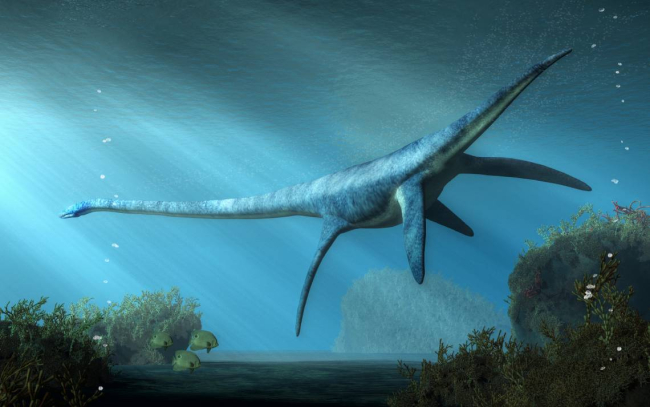 Los plesiosaurios eran bestias marinas, pero no dinosaurios. itock.