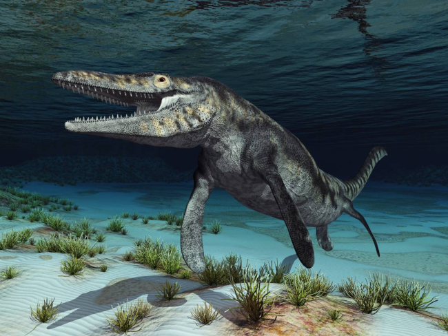 El mosasaurio fue un depredador imbatible. iStock.