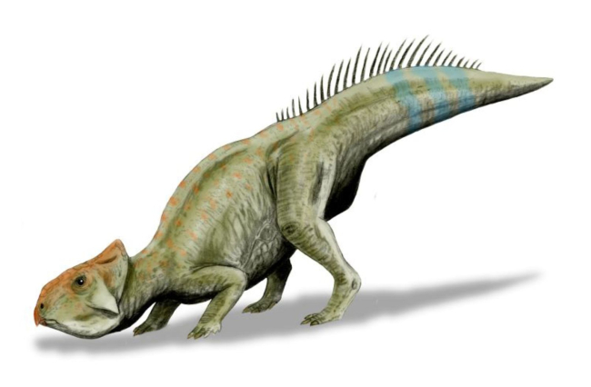 Recreación de Leptoceratops gracilis. Wikimedia