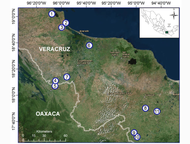 Localización geográfica de las 11 lagunas temporales donde se distribuye el pez almirante mexicano (Domínguez-Castanedo, Valdesalici, et al., 2017).