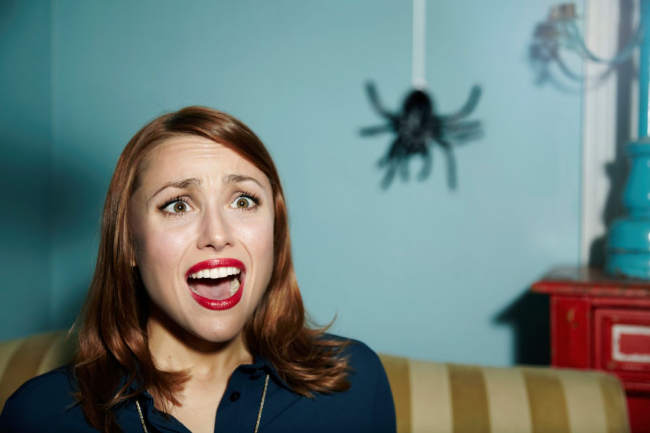 Aracnofobia. Miedo a las arañas