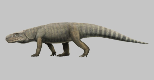 Mambawakale Ruhuhu: un superdepredador anterior a los dinosaurios