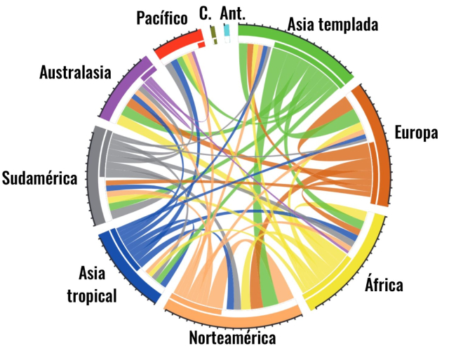 Flujo de especies de plantas naturalizadas entre continentes, generando una ‘nueva Pangea’; “Ant.” es Antártida; “C” son híbridos exclusivos de cultivo. Cada marca de la circunferencia representa 1000 especies. La parte blanca de la circunferencia interior representa importaciones, y la coloreada, exportaciones (van Kleunen et al., 2015)