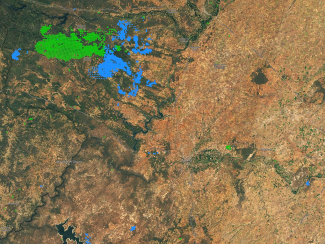 Superficie afectada por los dos últimos incendios en la provincia de Zamora, el de la Sierra de la Culebra en verde, y el de Losacio en azul (Copernicus EFFIS)