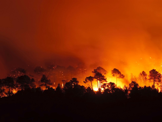 Más del 80 % de los incendios forestales de España son provocados por el ser humano (JAH).