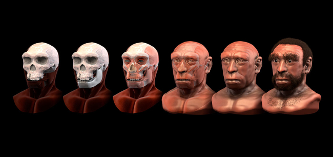 Reconstrucción de la apariencia física y facial de un homo heidelbergensis, posible autor del bastón. Fuente: Wikimedia Commons.
