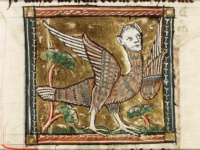 Harpía en una iluminación medieval. Imagen: Wikicommons