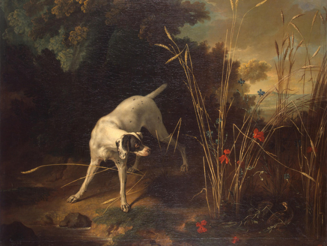 'Perro de muestra una perdiz', Jean-Baptiste Oudry (1725)