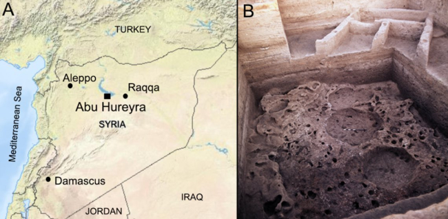 Localización de Abu Hureyra y una fotografía de estructuras superpuestas que muestra el cambio de viviendas circulares a lineales. Smith et al. 2022.