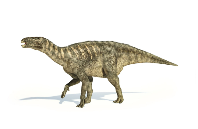 Recreación de Iguanodon