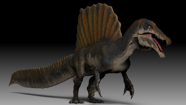 Modelo 3D de Spinosaurus