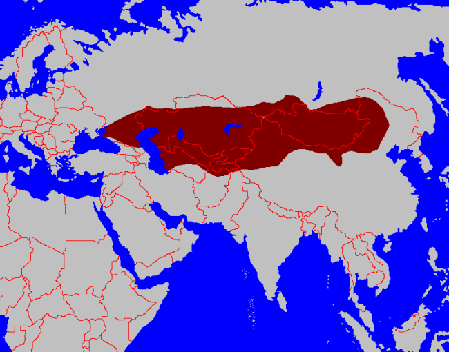 Mapa del kanato turco