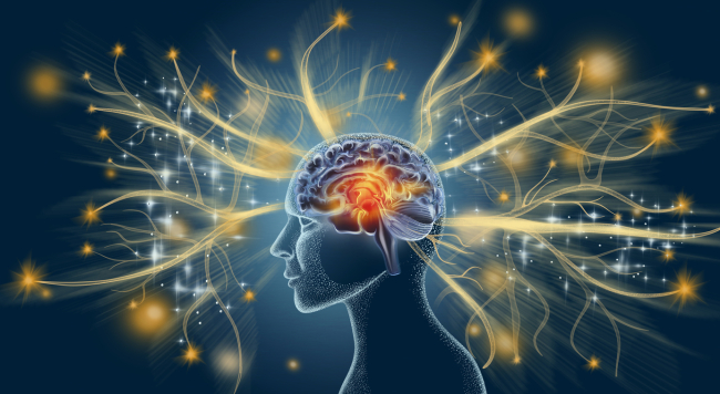 Las conexiones cerebrales son las que permiten nuestras habilidades creativas e imaginativas.